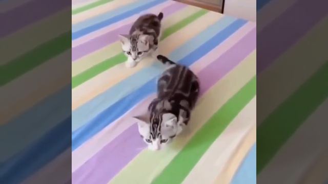 Синхронность смотреть онлайн