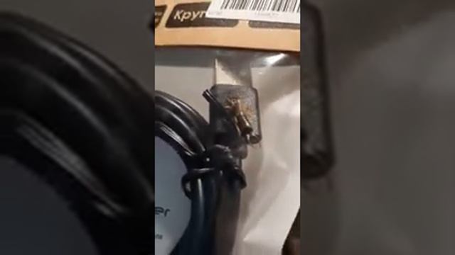 Сюрприз из всеволожского магазина в запечатанной упаковке с кабелем смотреть онлайн