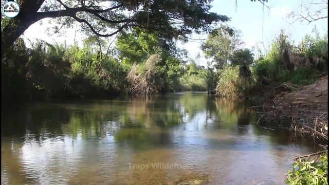 Wow how this Fish Trap Catching a lot of fish? Easy Fish Trap in river смотреть онлайн