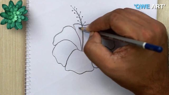 Hibiscus flower drawing easy ? смотреть онлайн