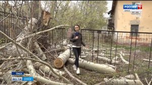 кронирование деревьев