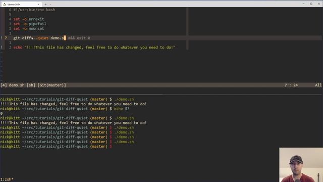 git diff Has a Quiet Flag to Halt a Script If a File Was Updated смотреть онлайн