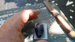 Виноград Памяти Бронислава (Калугин В. М.) 09.08.24г.виноградник Король В. Н. Slava.King2007@mail.ru