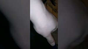 ЧТО ЖЕ ВНУТРИ HOPESTAR A60 ? разбор этой машины звука #_pustou_ #recommended #hopestar #hopestara60