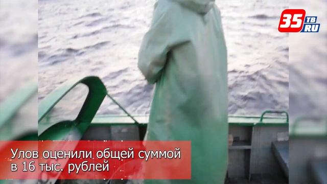На 2 года может сесть вологодский рыбак за ловлю сетями смотреть онлайн