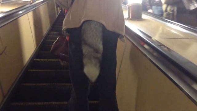 ШОК!!ЧЕЛОВЕК-КОТ В МОСКОВСКОМ МЕТРО!! смотреть онлайн
