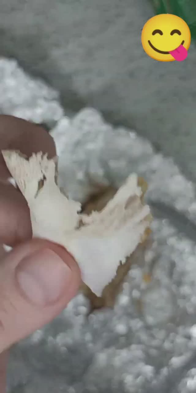 🤌 Запрещëнка #сало #закуска #намазка