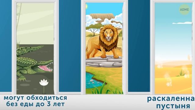 12 загадок, которые нужно решить, чтобы выжить смотреть онлайн