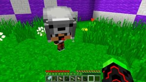 НАШЁЛ КОЛЕСО ФОРТУНЫ ВСЕ ВИДЫ ЗОМБАКА В МАЙНКРАФТ