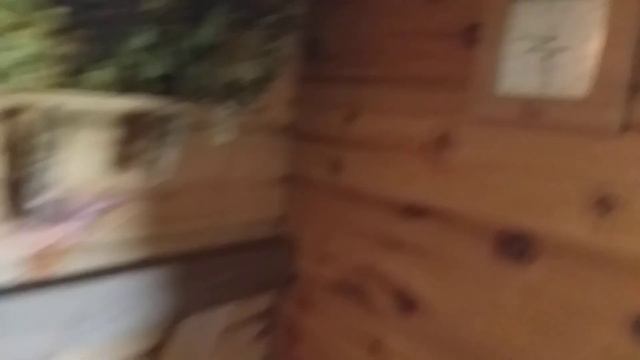 авангард 24 зк! утренний замер каменки! смотреть онлайн