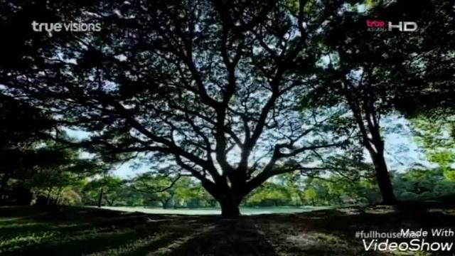 Om Am и Mike-ты любишь эту девочку. смотреть онлайн