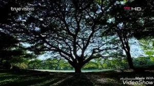 Om Am и Mike-ты любишь эту девочку.