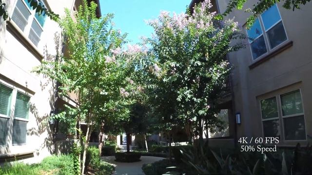 AKASO Brave 8 Action Camera Review!