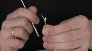 МК «Изготовление цветов из полимерной глины«часть 1