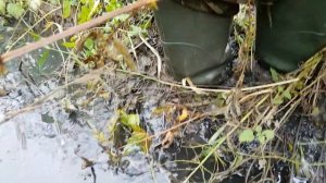 Высокие сапоги в грязи