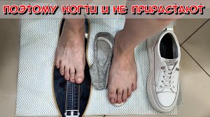 Живой прием!