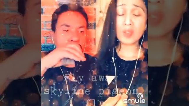 Skyline Pigeon by Luiz Carlos de Luca and Ana Gina Rodriguez смотреть онлайн