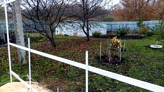 Как Укрываю Коричневые ИРИСЫ на ЗИМУ. 13.10.2021г. смотреть онлайн
