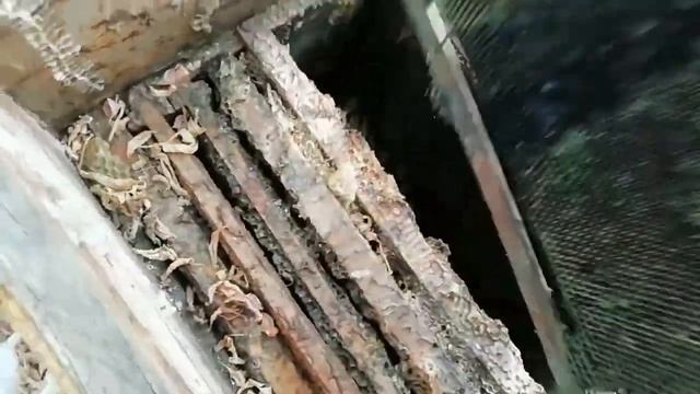 ⚡⚡⚡Как нужно собирать боярышник и Как правельно сушить.✨✨✨ Находка улья смотреть онлайн