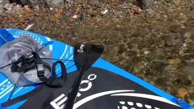 Экологическая Гармония