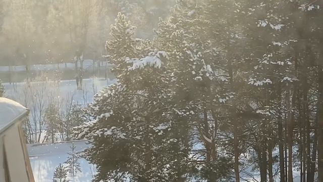 #ПОХУДЕНИЕ ДЕНЬ 3/РАЦИОН НА ДЕНЬ/КАК ДЕРЖАТЬСЯ? #похудение #пп #хмао #какпохудеть #ешьихудей