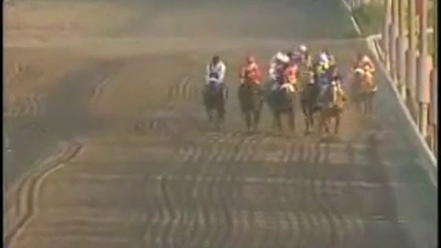 GATO DE LA LUNA - Cl. Gran Criterium Mauricio Serrano Palma [G1] смотреть онлайн