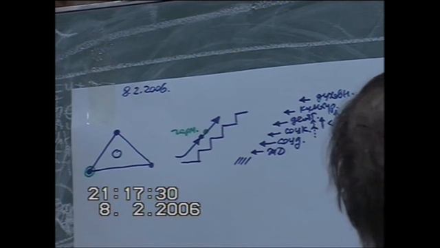 Путь морфологии при адаптации к форме Организованность 2006 смотреть онлайн