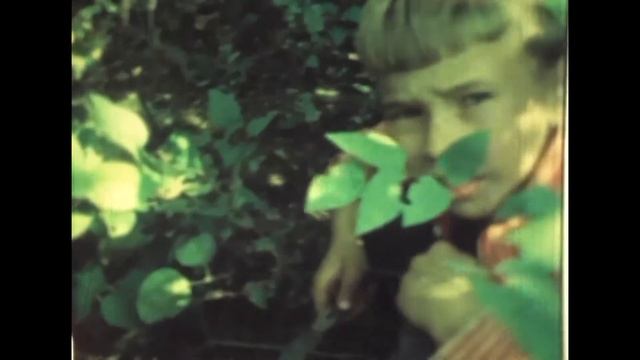 "В посадках" (за городом), 1969 год, г. Узловая Тульской области смотреть онлайн