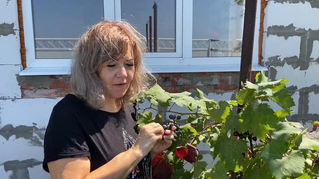 А у нас в доме ГАЗ!! А у Вас? Утепляем Крышу, покупаем батареи в Дом у Моря смотреть онлайн