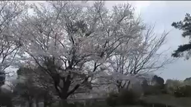 INFERNO GT смотреть онлайн