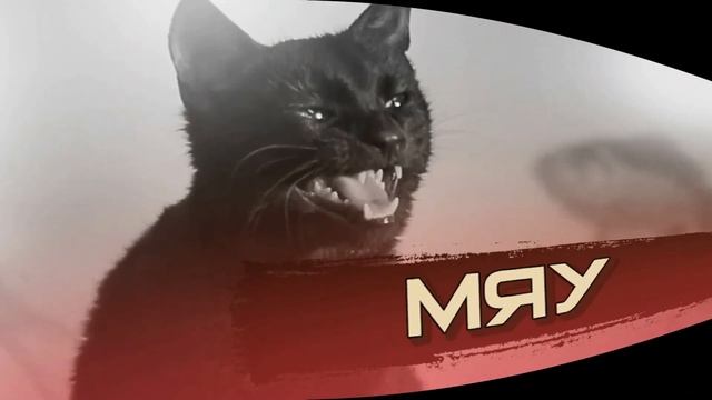 Иван Васильевич меняет профессию -Кот заговорил смотреть онлайн