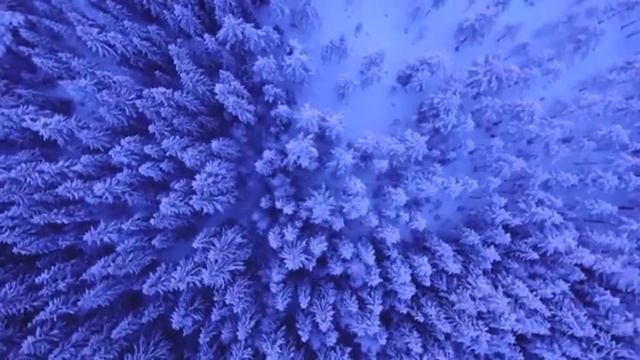 Основной вопрос философии смотреть онлайн