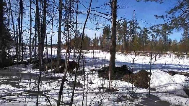 Прошёл ледоход,а в лесу пустота,такого давно не было. весна смотреть онлайн