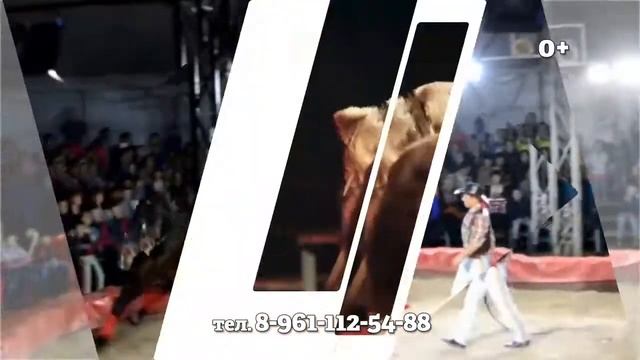 Цирк-Шапито «Серебрянная звезда» смотреть онлайн