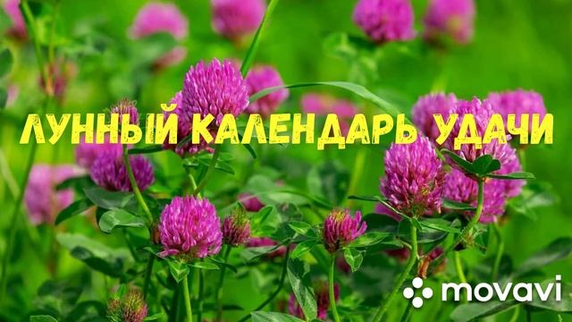 Лунный календарь удачи, когда нужно загадывать желание, чтобы оно сбылось. смотреть онлайн