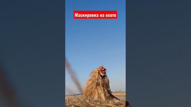 Маскировка на охоте на утку. смотреть онлайн