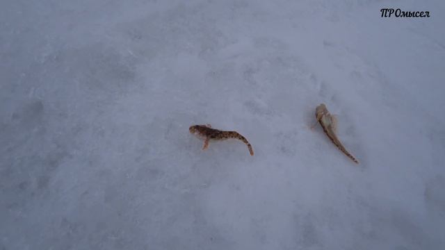 Как мы на рыбалку ездили. смотреть онлайн