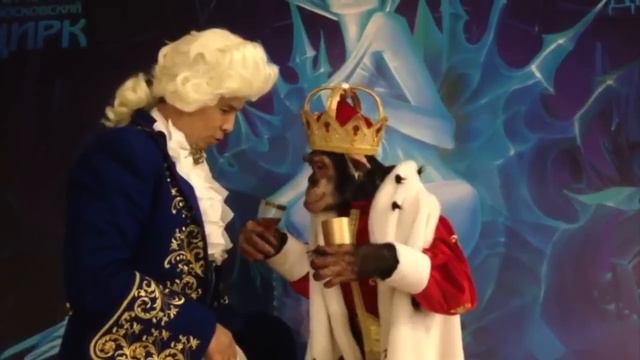 ПОЗДРАВЛЕНИЯ АРТИСТОВ С НОВЫМ 2017 ГОДОМ смотреть онлайн