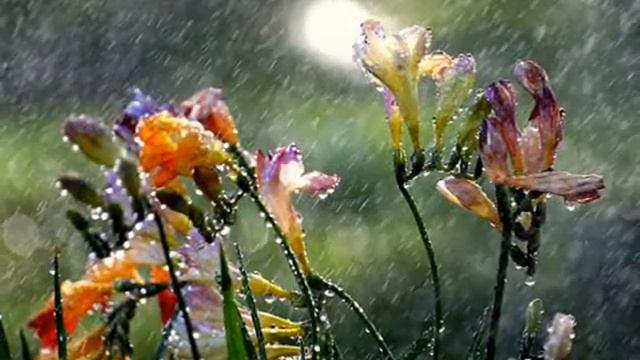 МЕЧТЫ ... смотреть онлайн