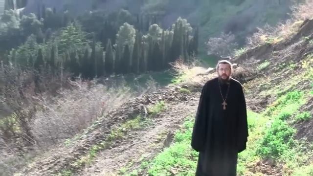 ПОЧЕМУ ЧЕЛОВЕКУ ДАНО ОДИНОЧЕСТВО? Священник Игорь Сильченков. смотреть онлайн