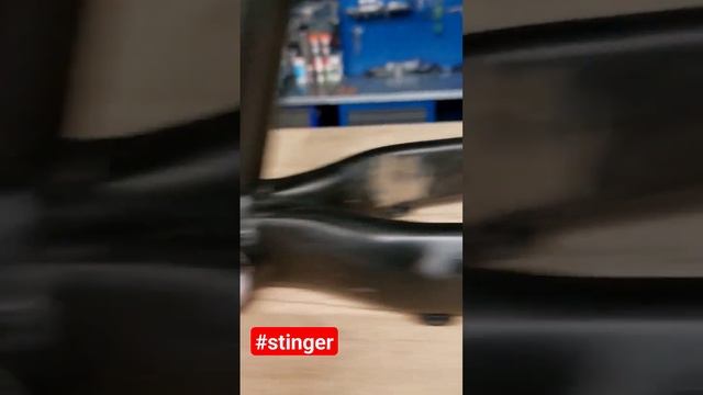 Ломается все, вопрос времени и стиля катания,)#stinger #велосипед смотреть онлайн