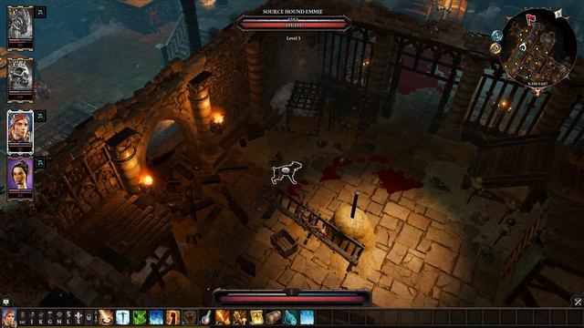 Divinity: Original Sin 2 - Ep. 20 "Who let the dogs out?" смотреть онлайн