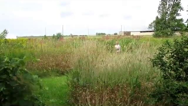 Lip Sync Story - Les 4 Couz' смотреть онлайн