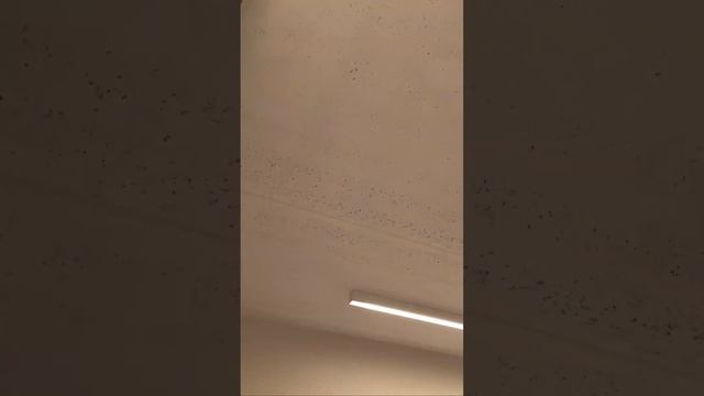 Ремонт квартир в Москве. Анатомия ремонта. Видео отчет. смотреть онлайн
