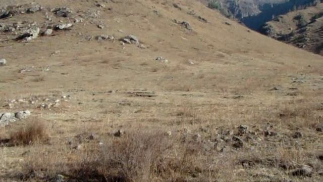 Курганы Эдигана смотреть онлайн