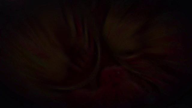 Игорь КУМИЦКИЙ и национальное шоу "Коляда" Миллион алых роз смотреть онлайн