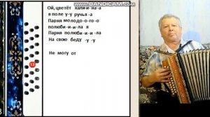 Ой, цветет калина. Разбор на гармони для начинающих.