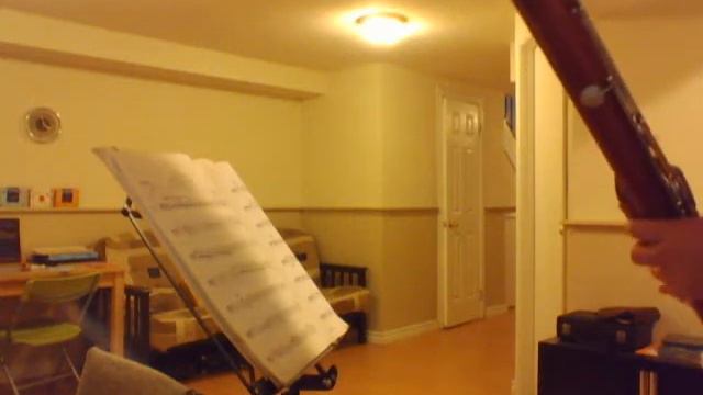 Schreiber Professional Model Bassoon 224xx Demo 1/2 смотреть онлайн
