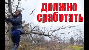 Пришлось залезть на дерево. Сжигаем паразитов. [Жизнь в деревне]