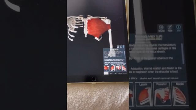 Melhor Aplicativo de Anatomia Humana смотреть онлайн